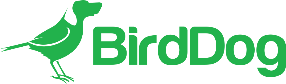 BirdDog NDI