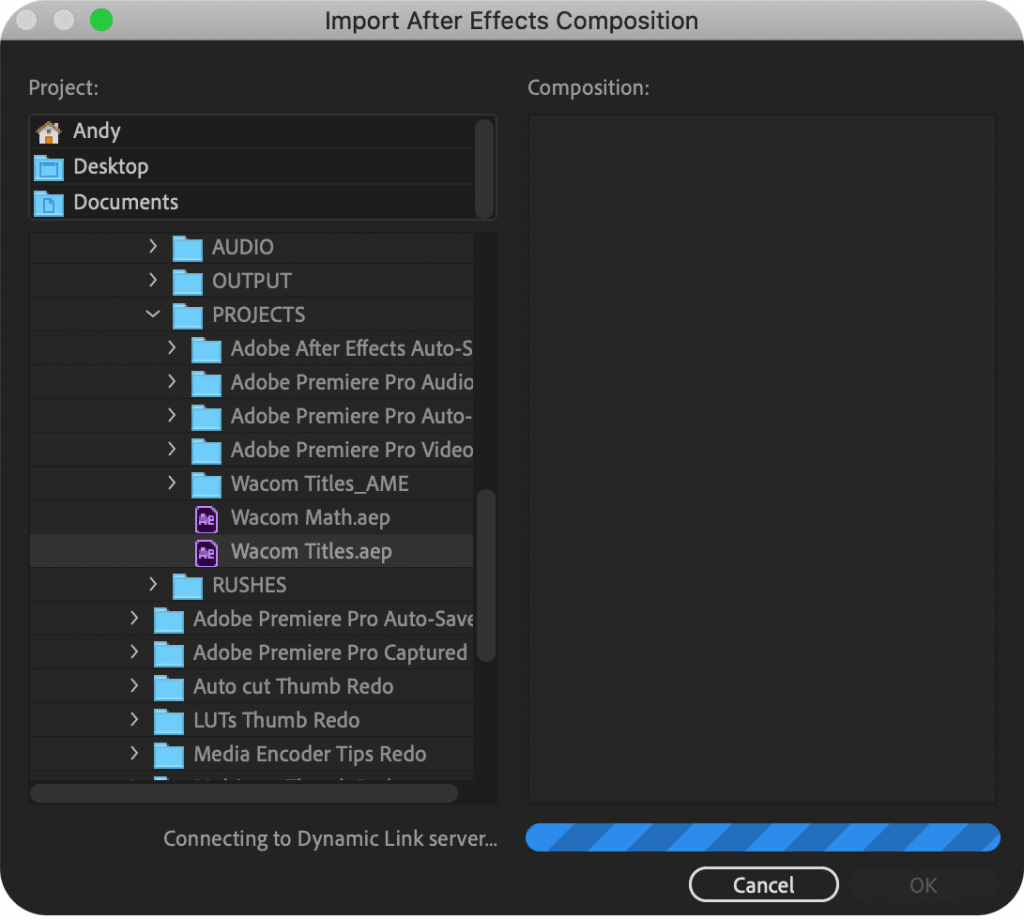 Adobe Dynamic Link Connecting to Server