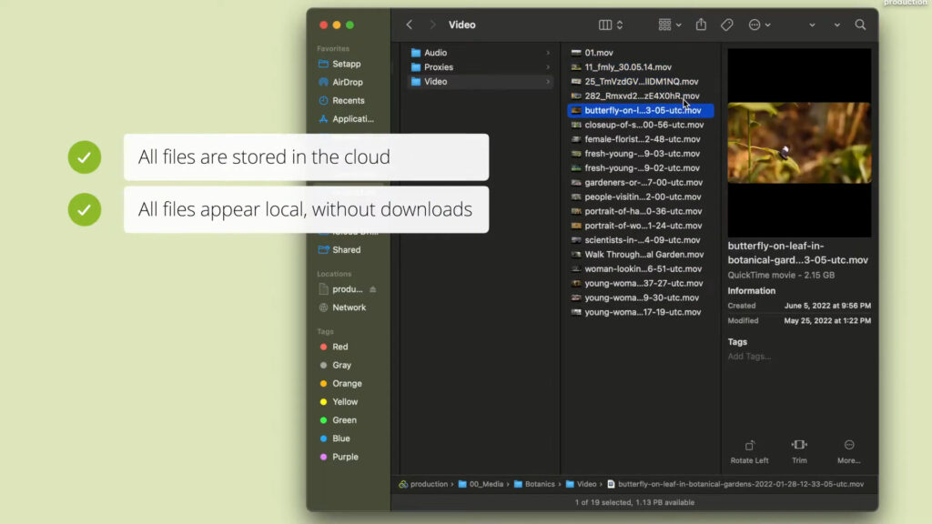 LucidLink Instant File Access
